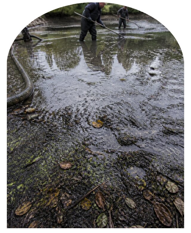 Очистка пруда в Сарапуле от ила мусора и водорослей с вывозом
